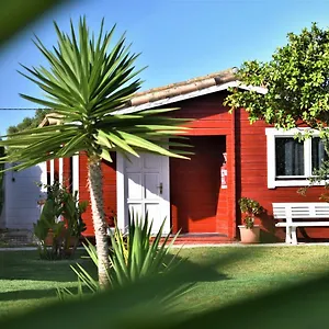 https://kontiki-bungalows-el-palmar.es-andalucia.com